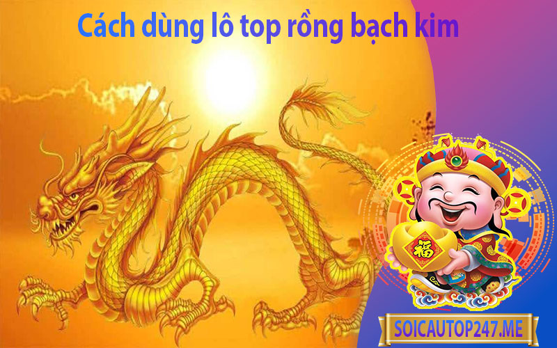 cach-dung-lo-top-rong-bach-kim