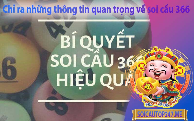 chi-ra-nhung-thong-tin-quan-trong-ve-soi-cau-366