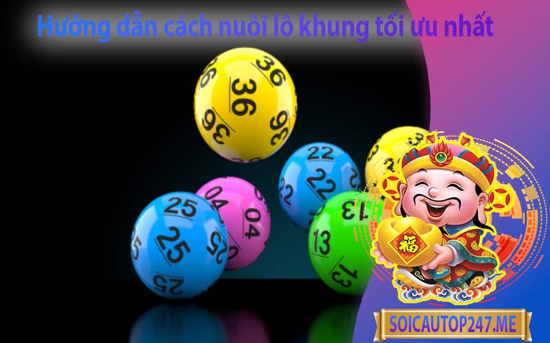 huong-dan-cach-nuoi-lo-khung-toi-uu-nhat