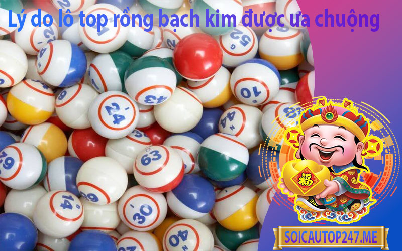 ly-do-lo-top-rong-bach-kim-duoc-ua-chuong (1)