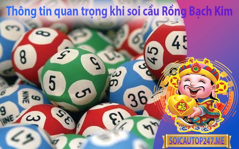 thong-tin-quan-trong-khi-soi-cau-rong-bach-kim