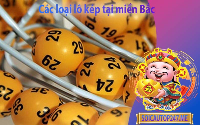 cac-loai-lo-kep-tai-mien-bac